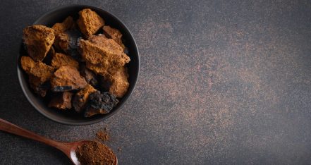 chaga-birch-edible-mushrooms-in-bowl-on-dark-brow-2025-03-10-15-46-43-utc-scaled.jpg